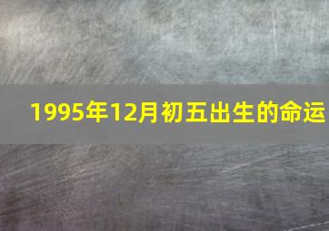 1995年12月初五出生的命运