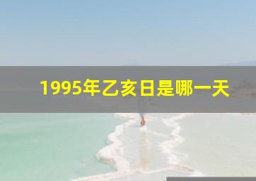 1995年乙亥日是哪一天