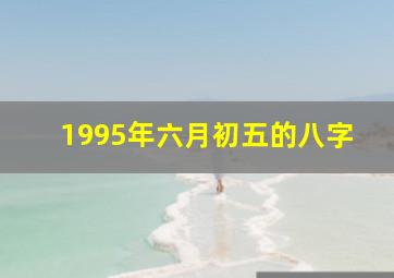 1995年六月初五的八字