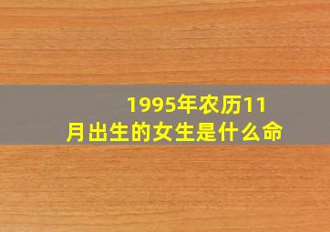 1995年农历11月出生的女生是什么命