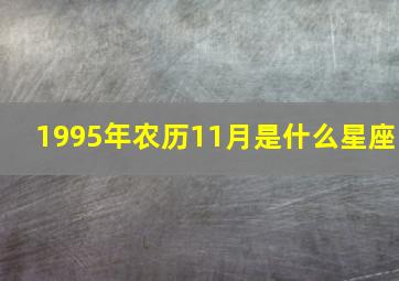 1995年农历11月是什么星座