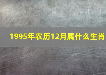 1995年农历12月属什么生肖