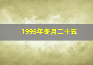 1995年冬月二十五