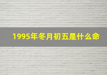 1995年冬月初五是什么命