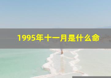 1995年十一月是什么命