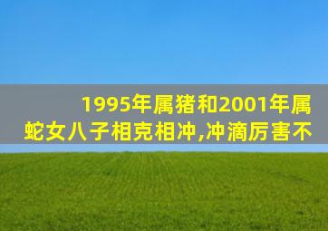 1995年属猪和2001年属蛇女八子相克相冲,冲滴厉害不