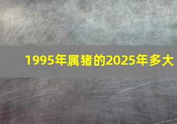 1995年属猪的2025年多大