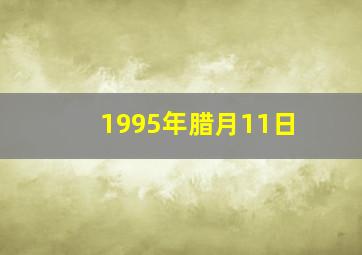 1995年腊月11日