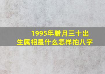 1995年腊月三十出生属相是什么怎样拍八字