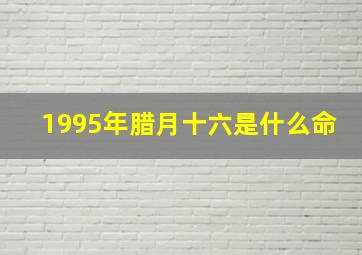 1995年腊月十六是什么命