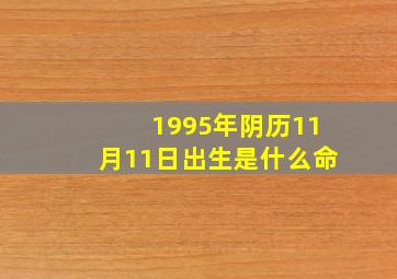 1995年阴历11月11日出生是什么命