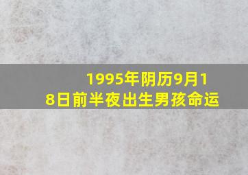 1995年阴历9月18日前半夜出生男孩命运