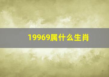 19969属什么生肖