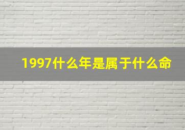 1997什么年是属于什么命