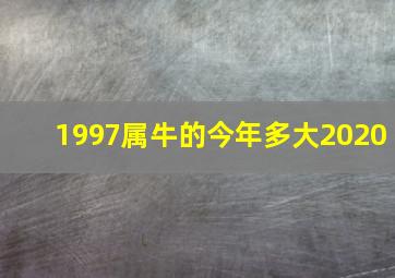 1997属牛的今年多大2020