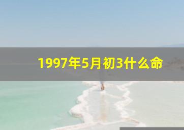 1997年5月初3什么命