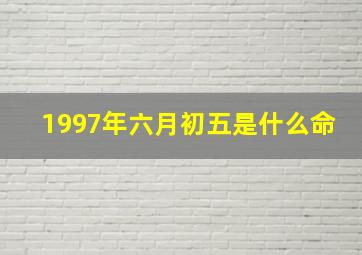 1997年六月初五是什么命