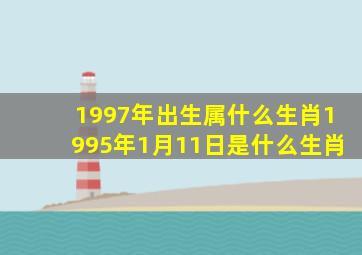 1997年出生属什么生肖1995年1月11日是什么生肖