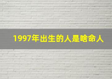 1997年出生的人是啥命人