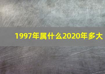 1997年属什么2020年多大