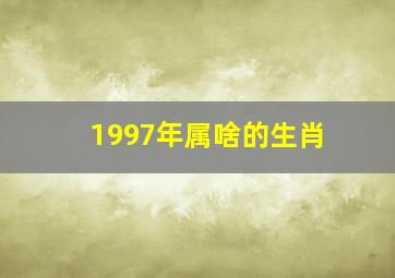 1997年属啥的生肖