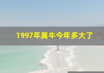 1997年属牛今年多大了