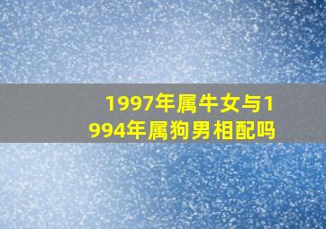 1997年属牛女与1994年属狗男相配吗