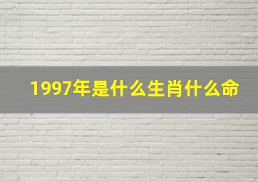 1997年是什么生肖什么命