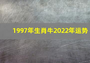 1997年生肖牛2022年运势