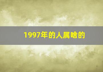 1997年的人属啥的