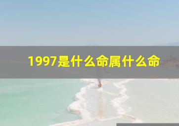 1997是什么命属什么命