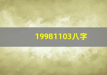 19981103八字