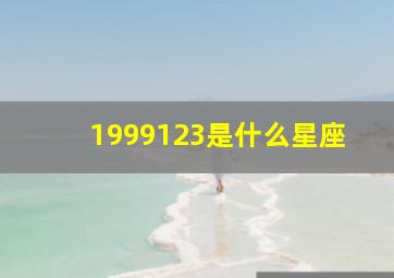 1999123是什么星座