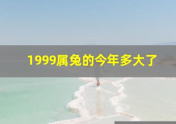 1999属兔的今年多大了