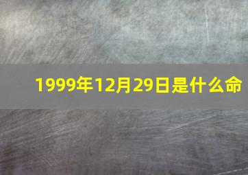 1999年12月29日是什么命