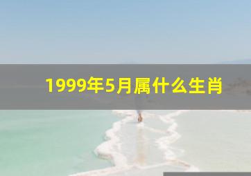 1999年5月属什么生肖