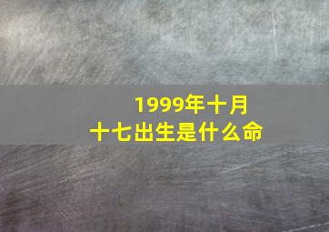 1999年十月十七出生是什么命