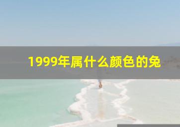 1999年属什么颜色的兔