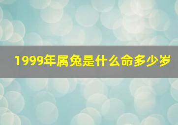 1999年属兔是什么命多少岁