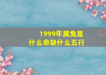 1999年属兔是什么命缺什么五行