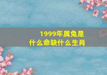 1999年属兔是什么命缺什么生肖