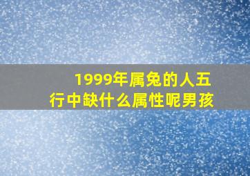 1999年属兔的人五行中缺什么属性呢男孩