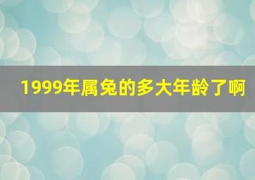 1999年属兔的多大年龄了啊