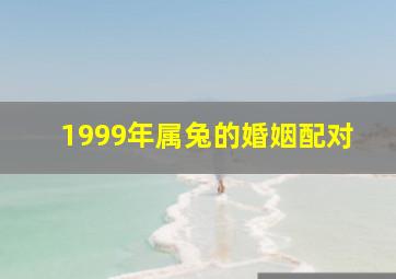 1999年属兔的婚姻配对