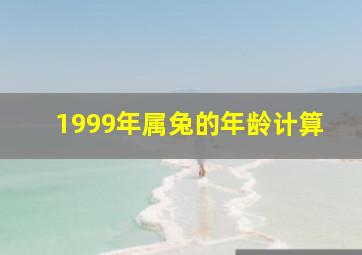 1999年属兔的年龄计算