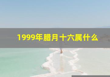 1999年腊月十六属什么