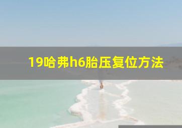 19哈弗h6胎压复位方法