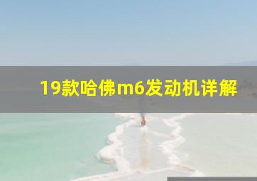 19款哈佛m6发动机详解