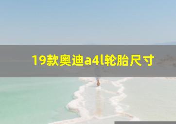 19款奥迪a4l轮胎尺寸