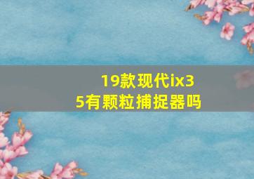 19款现代ix35有颗粒捕捉器吗